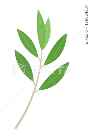 緑色の葉が付いた1本のオリーブの枝のシンプルなイラスト - ナチュラルや平和・勝利などのイメージ素材 緑色の葉が付いた1本のオリーブの枝のシンプルなイラスト - ナチュラルや平和・勝利などのイメージ素材 126024237