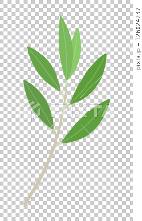 緑色の葉が付いた1本のオリーブの枝のシンプルなイラスト - ナチュラルや平和・勝利などのイメージ素材 緑色の葉が付いた1本のオリーブの枝のシンプルなイラスト - ナチュラルや平和・勝利などのイメージ素材 126024237
