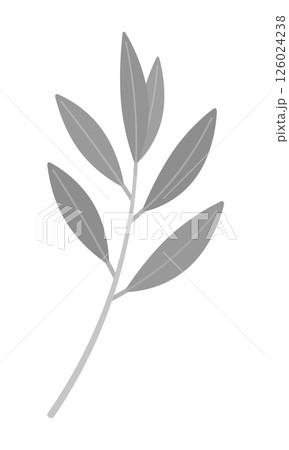 葉付きの1本のオリーブの枝のシンプルなイラスト - ナチュラルや平和・勝利などのイメージ素材 葉付きの1本のオリーブの枝のシンプルなイラスト - ナチュラルや平和・勝利などのイメージ素材 126024238