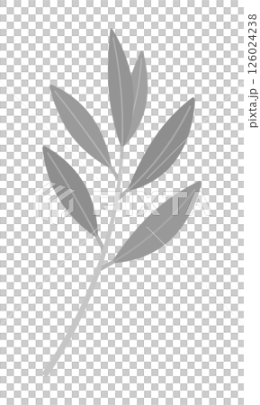 葉付きの1本のオリーブの枝のシンプルなイラスト - ナチュラルや平和・勝利などのイメージ素材 葉付きの1本のオリーブの枝のシンプルなイラスト - ナチュラルや平和・勝利などのイメージ素材 126024238