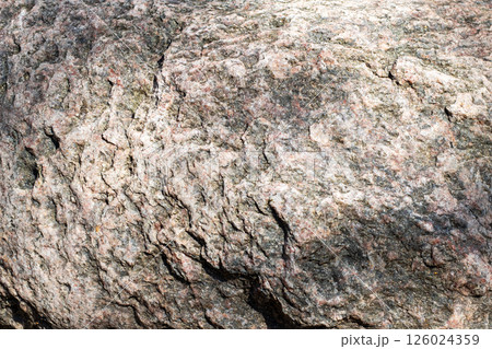 This is a close up view of a rock showcasing a lot of texture and detail 126024359