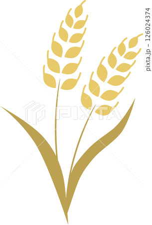 麦のシンプルなイラスト素材 126024374