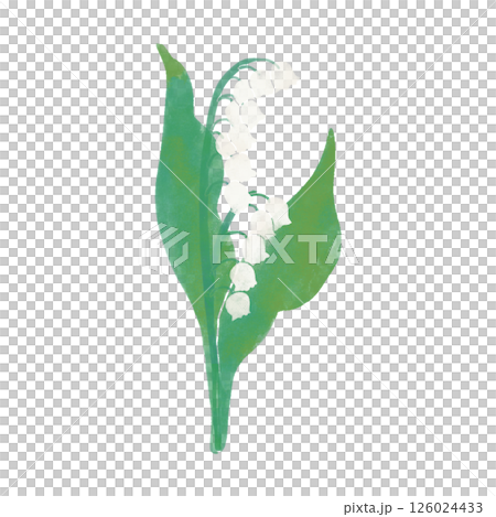 淡淡水彩風格的原創鈴蘭 126024433