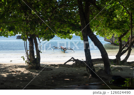Traditional boat on Lia beach, Waleakodi Island, Togian archipelago, Sulawesi, Indonesia 126024490