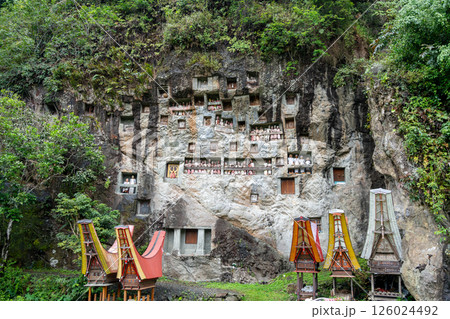 Funeral cliff site of Lemo in Toraja, Sulawesi, Indonesia 126024492