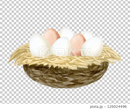 Watercolor white and brown eggs in hay nest watercolor isolated illustration. Farm natural goods clip art for countryside and village designs and Easter greeting cards 126024496