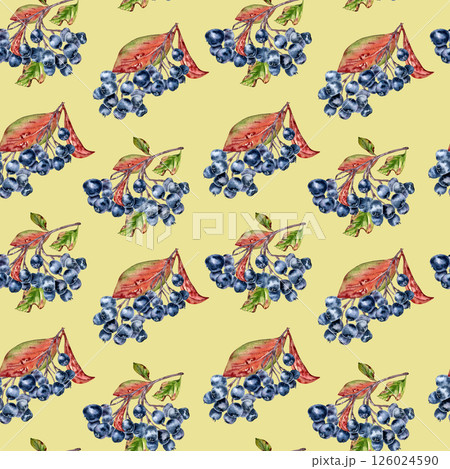 Black chokeberry botanical pattern with watercolor aronia berries, foliage isolated on beige. Autumn berries repeated background hand painted for kitchen linens, stationery, fabric cottagecore style. Black chokeberry botanical pattern with watercolor aronia berries, foliage isolated on beige. Autumn berries repeated background hand painted for kitchen linens, stationery, fabric cottagecore style. 126024590