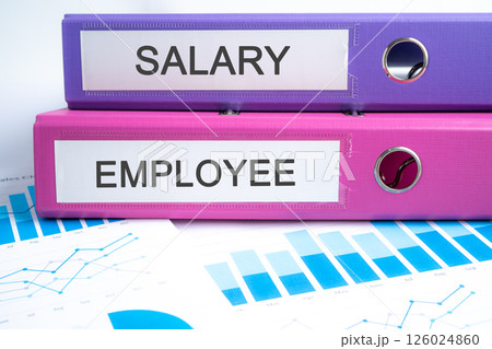 Salary Employee, Binder data finance report business with graph analysis in office. 126024860