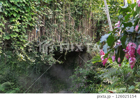 A small wooden bridge spans a stream deep in the tropical jungle. It is surrounded by lush greenery, vines and damp vegetation, creating an atmosphere of adventure and privacy. A small wooden bridge spans a stream deep in the tropical jungle. It is surrounded by lush greenery, vines and damp vegetation, creating an atmosphere of adventure and privacy. 126025154