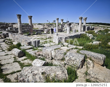 アンマンのヘラクレス神殿 126025251