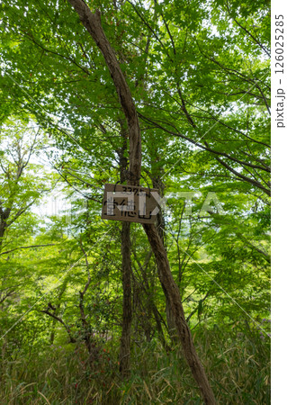 堂徳山の山頂(六甲山地) 堂徳山の山頂(六甲山地) 126025285