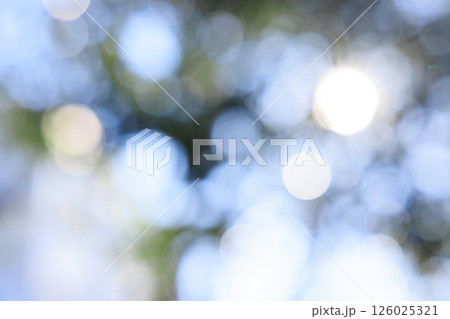 玉ボケのテクスチャ 126025321