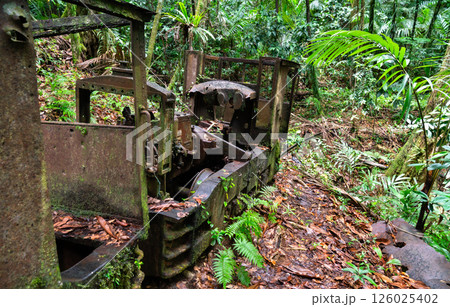 An old rusted locomotive sits abandoned and partially reclaimed by dense tropical jungle in Palau on Babeldaob Island, surrounded by ferns, palms, and damp forest floor in a humid and remote setting 126025402