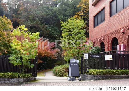 湯河原町　町立湯河原美術館庭園入口と紅葉 126025547
