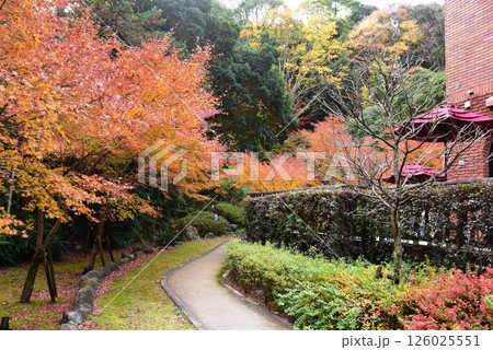湯河原町 町立湯河原美術館庭園散策路と紅葉 湯河原町 町立湯河原美術館庭園散策路と紅葉 126025551