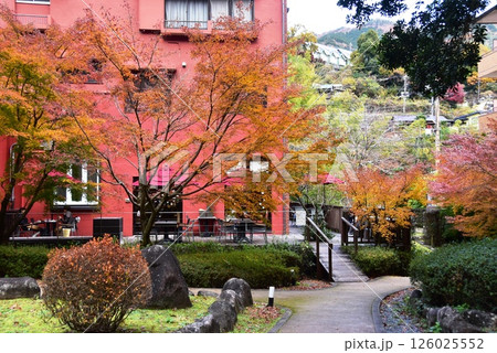 湯河原町 町立湯河原美術館のカフェテラスと庭園の紅葉 湯河原町 町立湯河原美術館のカフェテラスと庭園の紅葉 126025552