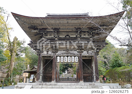 滋賀　大津　三井寺（園城寺）　大門（仁王門）（晩春） 126026275