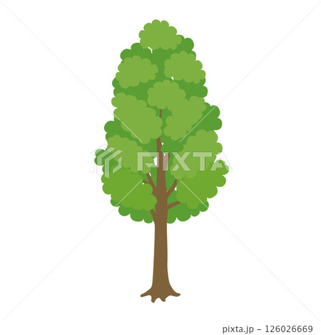 街路樹のイラスト（緑） 126026669