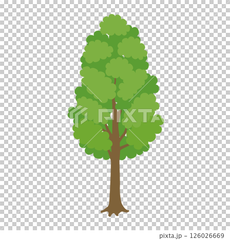 街路樹のイラスト（緑） 126026669