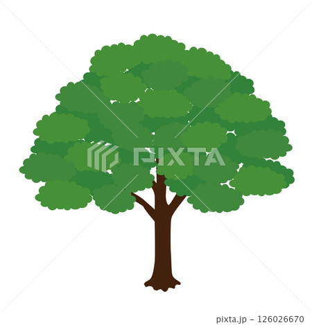 けやきの木のイラスト 126026670
