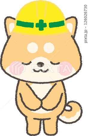 お辞儀をする黄色ヘルメットを被った茶色の柴犬 お辞儀をする黄色ヘルメットを被った茶色の柴犬 126026730