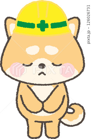 申し訳なさそうにお辞儀をする黄色ヘルメットを被った茶色の柴犬 126026731