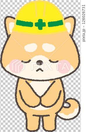 申し訳なさそうにお辞儀をする黄色ヘルメットを被った茶色の柴犬 126026731