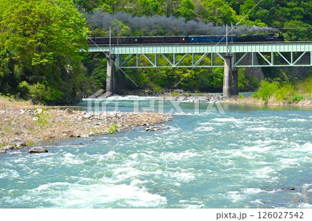 新緑の利根川を渡る蒸気機関車 126027542