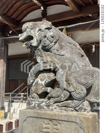鵜ノ木八幡神社 右側の狛犬(母と子 授乳中) 鵜ノ木八幡神社 右側の狛犬(母と子 授乳中) 126028182