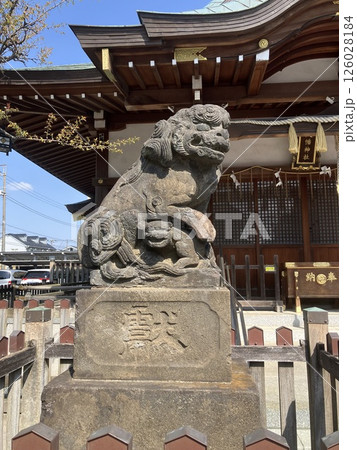 鵜ノ木八幡神社 左側の狛犬(親子) 鵜ノ木八幡神社 左側の狛犬(親子) 126028184