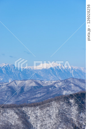 東京都雲取山登山道から望む仙丈ヶ岳 126028256