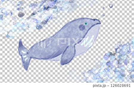 Whale watercolor 126028691