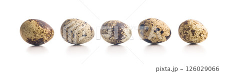 Spotted quail eggs isolated on white background. 126029066