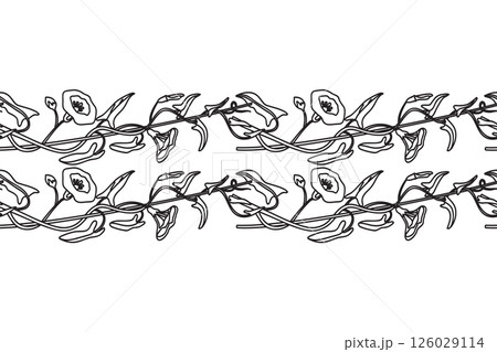 Line art botanical floral horizontal seamless border isolated on white background. Hand drawn outline bindweed plant with Flowers Stems Leaves vector illustration. Graphic design element for Birthday 126029114