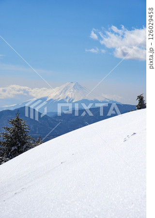 東京都雲取山山頂から望む富士山と雪原 東京都雲取山山頂から望む富士山と雪原 126029458