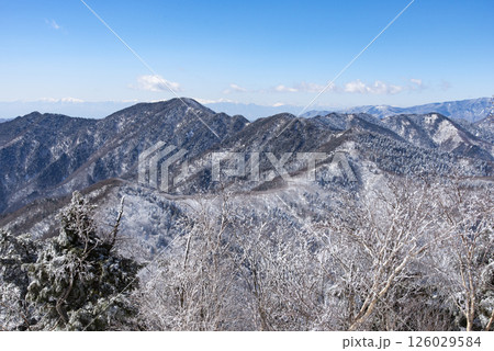 東京都雲取山から望む飛龍山 126029584