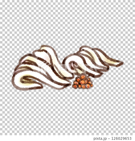 イカの刺身とイクラのイラスト(墨絵風) イカの刺身とイクラのイラスト(墨絵風) 126029653