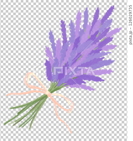 Watercolor lavender bouquet with ribbon 126029735