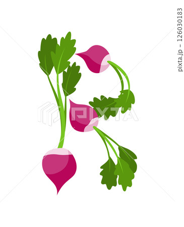 Veggie alphabet, English letter A made from fresh vegetables. Radish. Decoration concept for books, menus or shops. Vegetable lettering design on white background 126030183