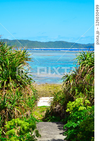 奄美大島　あやまる岬 126030499