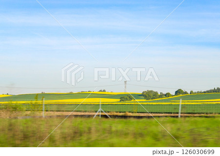 Scenic Agricultural Fields in Spring Light 126030699