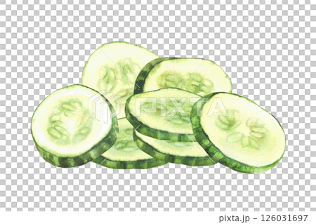 Sliced cucumber slices. Fresh vegetable cut cucumber circles with seeds. Watercolor realistic hand drawn illustration. Clipart for food, nature vegan salad, cosmetic label. Isolated from background 126031697
