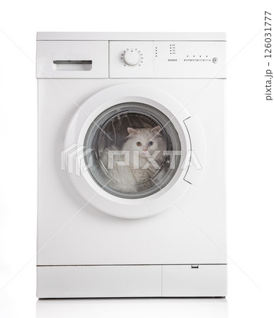 Washing machine and white cat... 126031777
