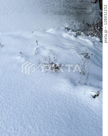 雪に覆われた枯れ草と壁面 126032252