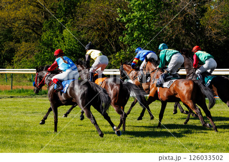 Group of jockeys racing on thoroughbred horses by green grass track race course back view on sunny day. Riders wear colorful uniforms under bright daylight, surrounded by trees and racetrack rails 126033502