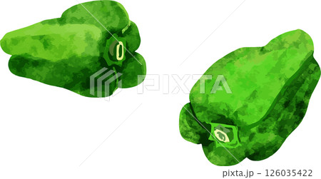 ピーマン二個のイラスト 126035422