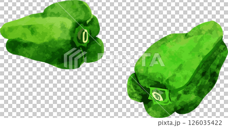 ピーマン二個のイラスト 126035422