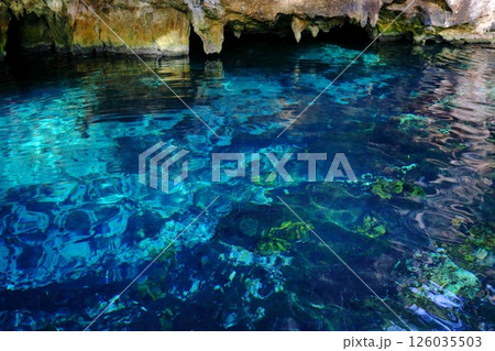 中米メキシコのカンクンにて、透明度抜群の秘境グランセノーテ 中米メキシコのカンクンにて、透明度抜群の秘境グランセノーテ 126035503