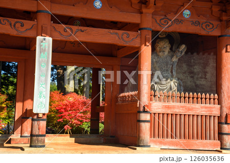 高野山 秋の大門 高野山 秋の大門 126035636