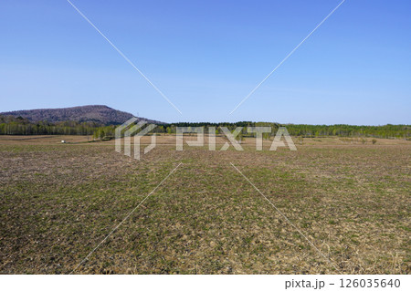 新十津川のそば畑(まだそばはない) 新十津川のそば畑(まだそばはない) 126035640